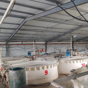 HOME -8-White Fused Alumina - HAIXU